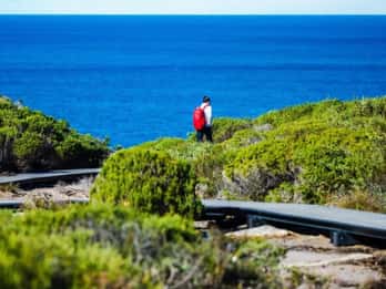 Melbourne: Great Ocean Road Day Tour