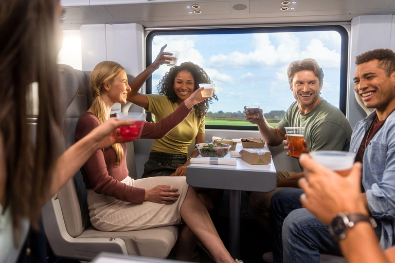 Orlando: treintransfer naar MiamiOrlando naar Aventura - Premium ticket