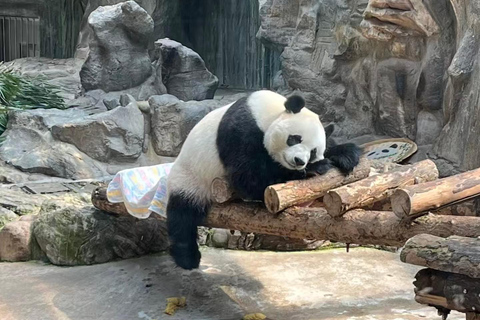 Beijing: Mutianyu Great Wall and Panda House Private Tour Private Day Tour without Tour Guide