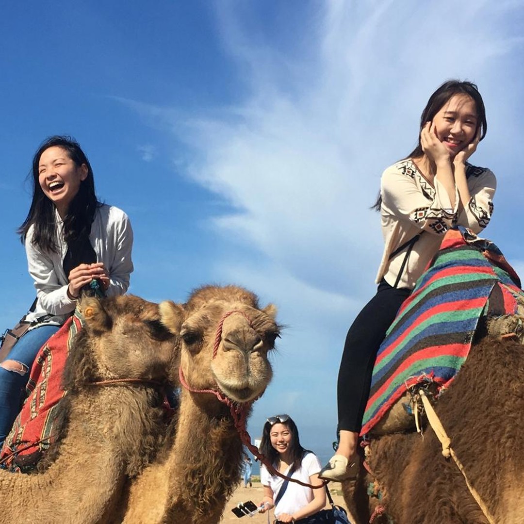 Visite privée d'une demi-journée à Tanger + balade à dos de chameau + Option : Déjeuner - dromadaire