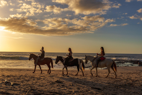 Saint John: Private Sunset Horseback Riding Experience