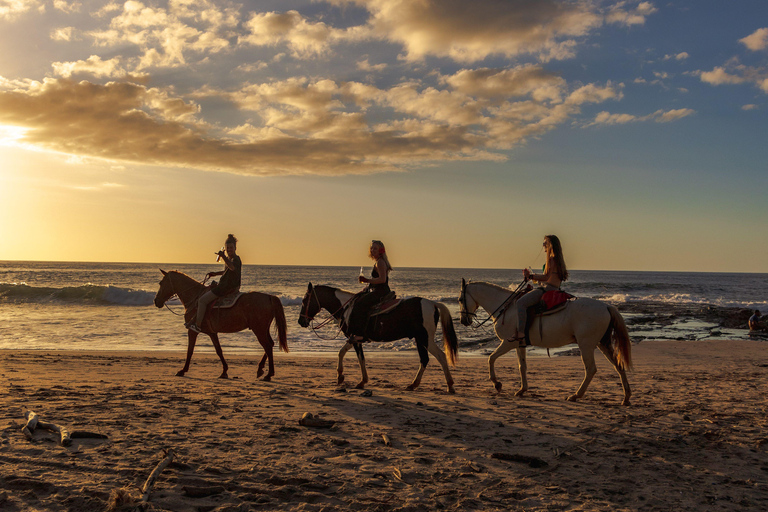 Saint John: Private Sunset Horseback Riding Experience