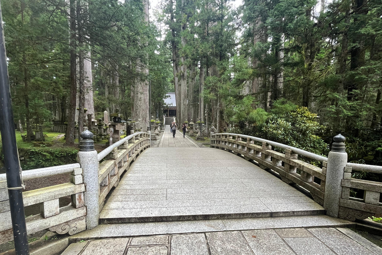 Mount Koya: Full-Day Private Guided Tour from Osaka