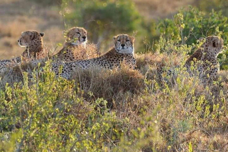 Mombasa/Diani: 2-Day Tsavo East Safari with Meals Private day tour to Tsavo East National Park - VAN