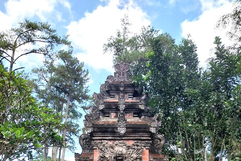 Ubud Waterfall, Temple, Rice Terrace & Art with Transfers