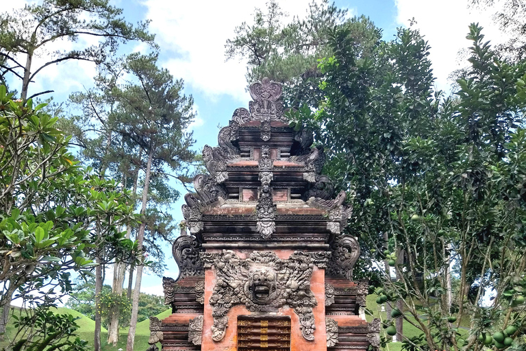 Ubud Waterfall, Temple, Rice Terrace & Art with Transfers