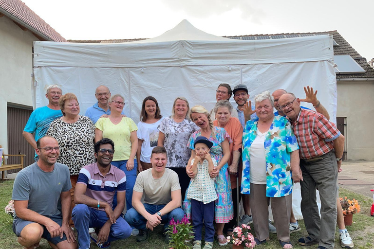 Udaipur: Private City Tour with Multilingual Guide