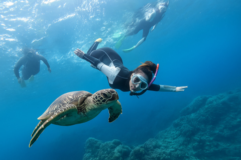 Padang Bai Snorkeling Trip with Lunch and Local Guide