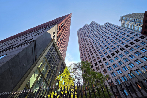 The Hague: City Walking Tour with Historical Highlights