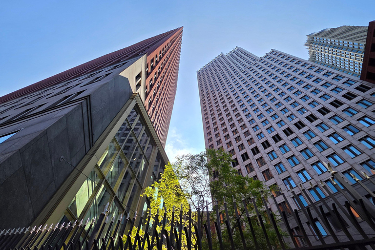 The Hague: City Walking Tour with Historical Highlights