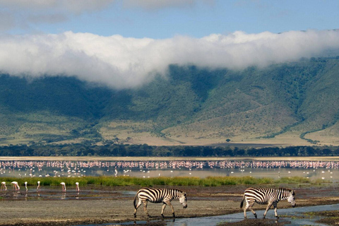 Zanzibar: 2-Days safari to Serengeti National Park