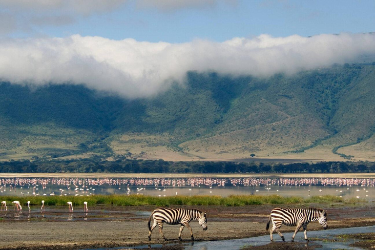 Zanzibar: 2-Days safari to Serengeti National Park