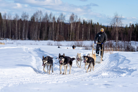 Meltosjärvi: Self Driving Husky Tour - Lake Trail Experience
