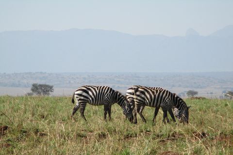 3 dagar Murchison Falls och båtkryssning