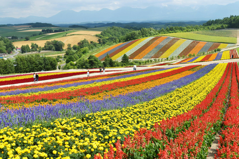 Excursion à Furano et Biei : À la découverte des champs vibrants d&#039;Hokkaido