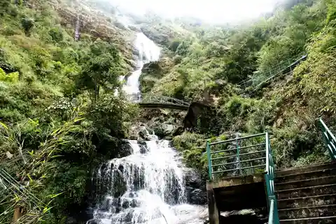 Sapa Hoang Lien National Park & Tribal Village Trek Private