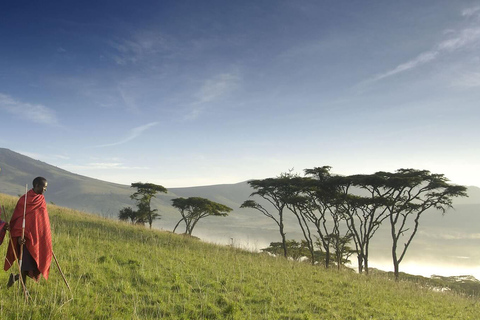 Safari de 3 días en un albergue privado desde Zanzíbar con vuelos