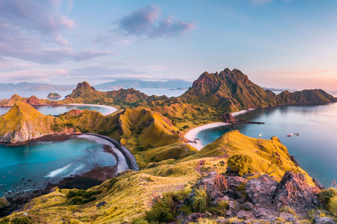 Komodo 1 day trip with speed boat