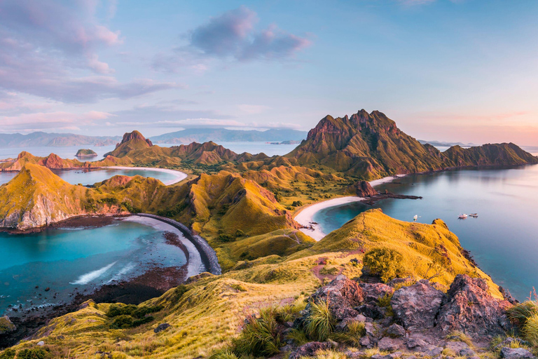 Komodo 1 day trip with speed boat