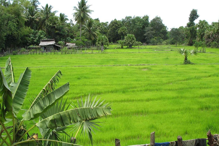 Angkor Temple Pass Service with Skip-the-Line