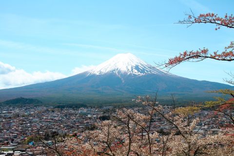 Desde Tokio: viaje turístico de día completo al monte Fuji