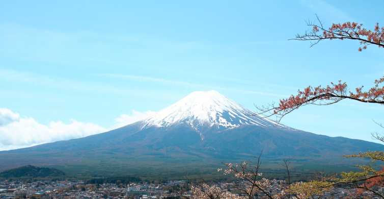 From Tokyo Mt. Fuji Full Day Sightseeing Trip GetYourGuide