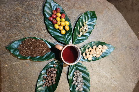 Cusco: Specialty Coffee Tasting-Sensory Experience (2 Hours)