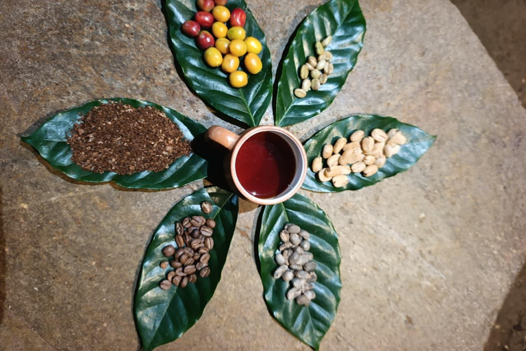 Cusco: Specialty Coffee Tasting-Sensory Experience (2 Hours)