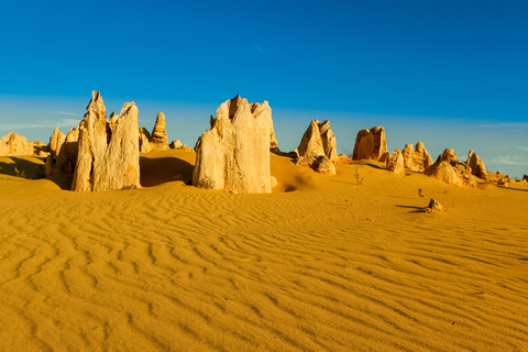 Pinnacles Desert Private Tour