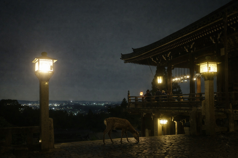 Nara After Dark: Sacred Deer, Lantern Walk with Hidden Views