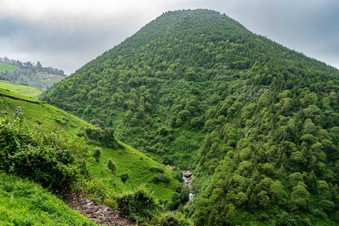 From Addis Ababa: Menagesha Suba Forest Hike with Picnic
