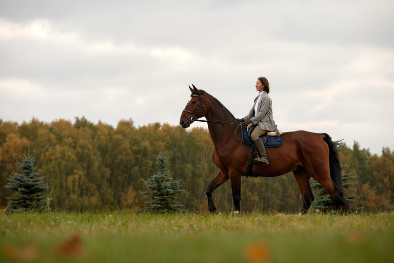 Ibiza: Private Horse Ride, Massage, Reiki With lunch Picnic