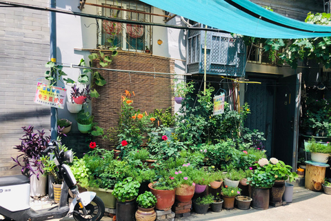 Tour a pie privado de 4 horas por el Templo de Lama y el Hutong