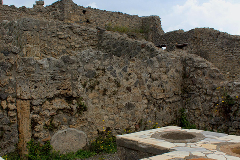 From Naples: Pompeii and Vesuvius Shuttle w/ Priority Ticket From Naples: Pompeii and Vesuvius with Skip the Line Ticket
