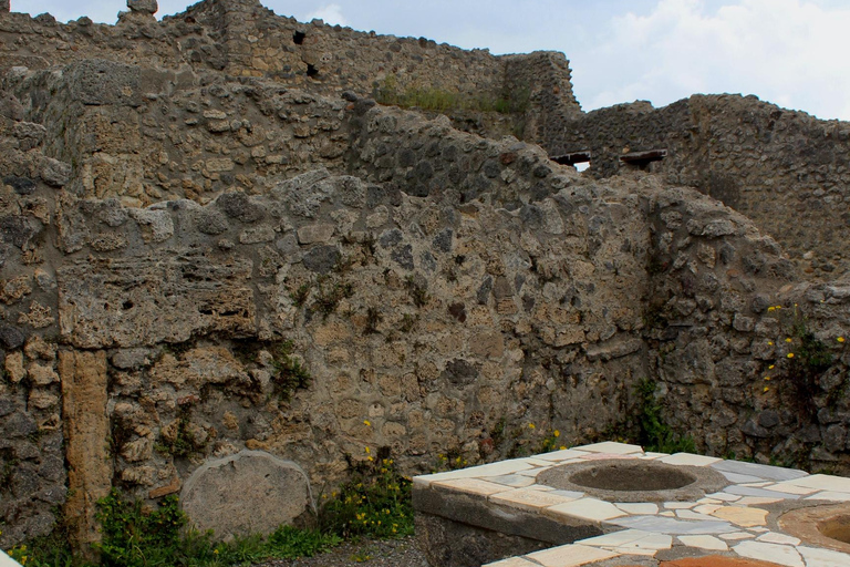 From Naples: Pompeii and Vesuvius Shuttle w/ Priority Ticket From Naples: Pompeii and Vesuvius with Skip the Line Ticket
