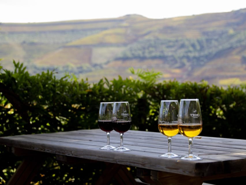 Porto Esperienza Enologica Autentica Nella Valle Del Douro Con Pranzo