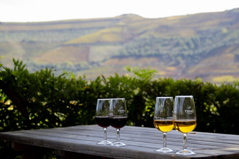 Porto: Esperienza enologica autentica nella Valle del Douro con pranzo