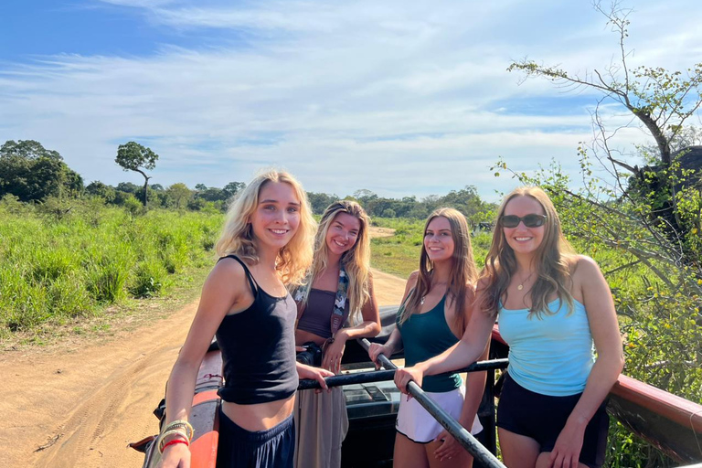 Wild Elephant Safari Tour Minneriya, Kaudulla & Hurulu ECO Start from Dambulla