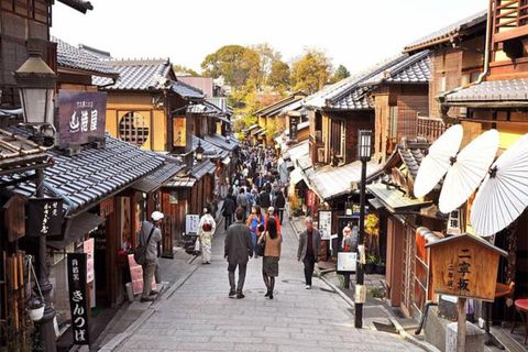 Kyoto/Osaka: Kyoto and Nara Customized Private Guided Tour