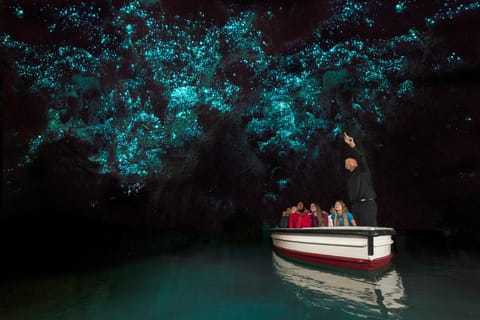 From Auckland: Day Trip to Waitomo Glowworm Caves - Image 2
