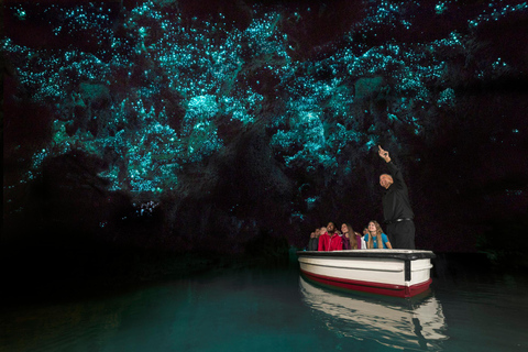 De Auckland: Viagem de 1 dia para Te Puia e cavernas de Waitomo