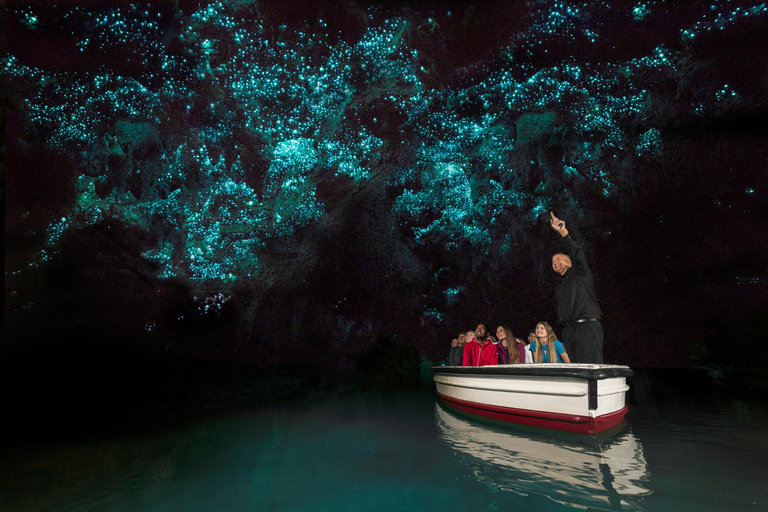 Från Auckland: Dagsutflykt till Te Puia &amp; Waitomo Caves