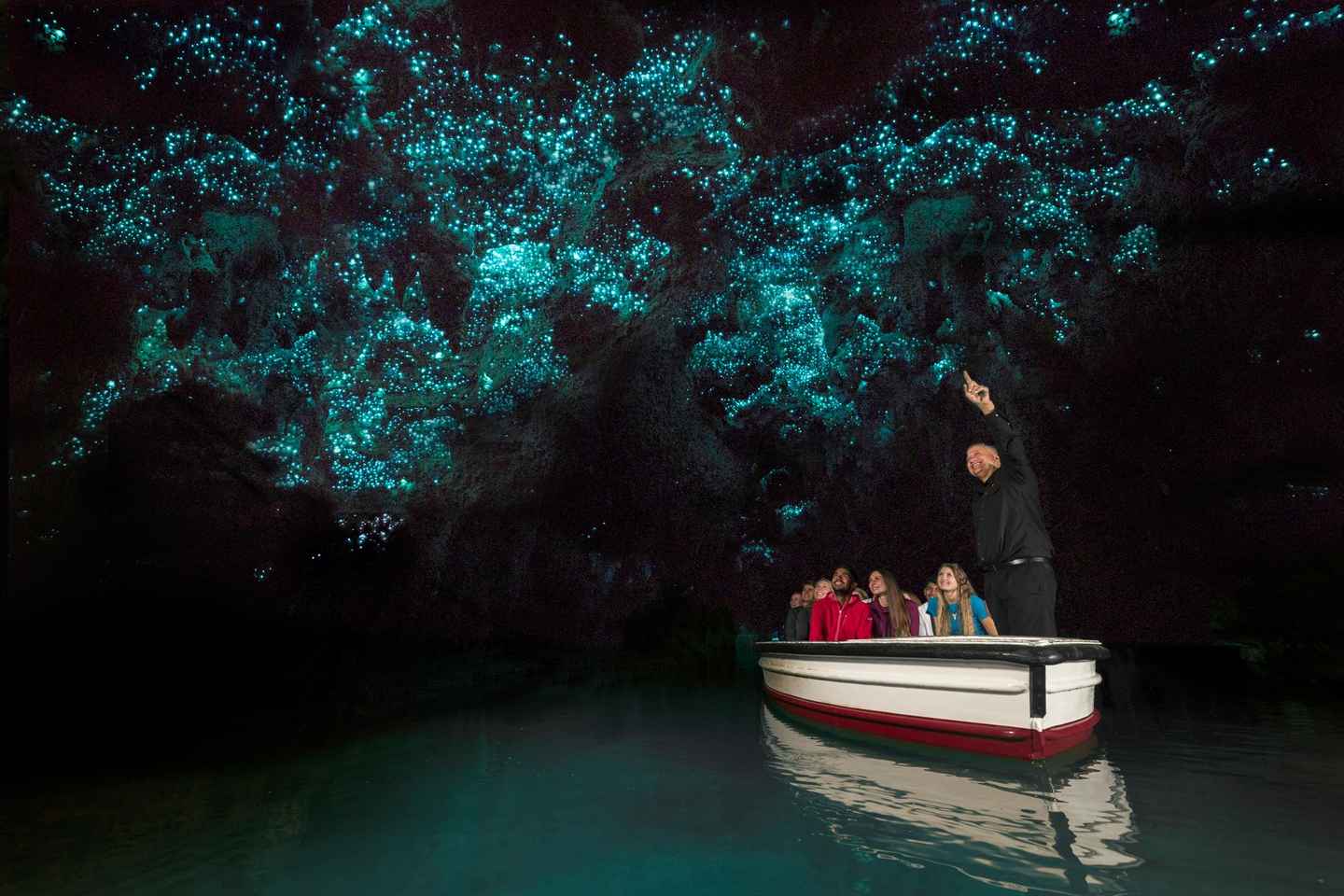 From Auckland: Day Trip to Waitomo Glow Worm Caves - From Auckland: Day Trip to Waitomo Glow Worm Caves