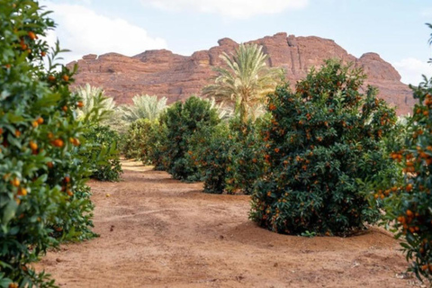 AlUla: Oasis Farm Tour and Traditional Feast with Locals