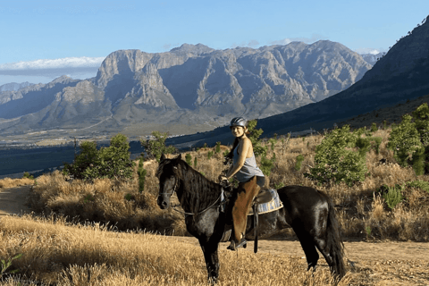 Vrede en Lust Wine Estate:1-Hour Horseback Riding Experience