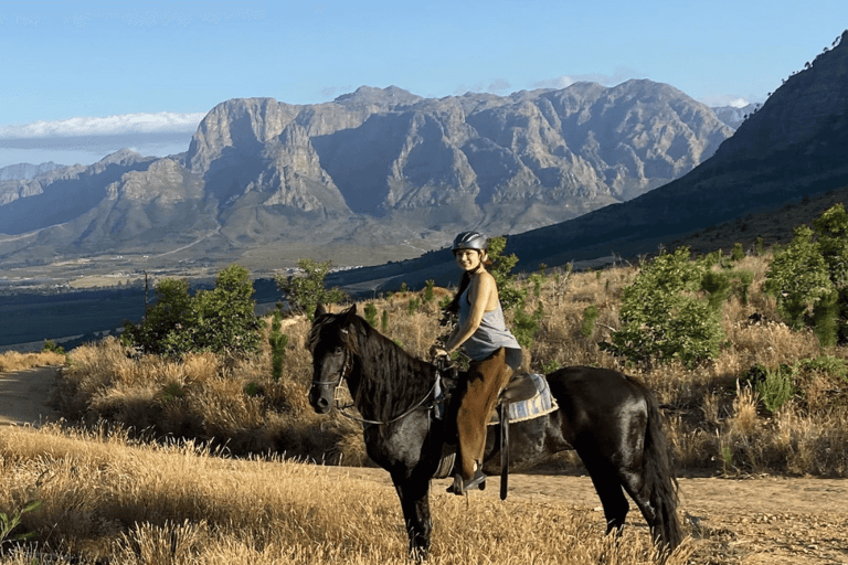 Vrede en Lust Wine Estate:1-Hour Horseback Riding Experience