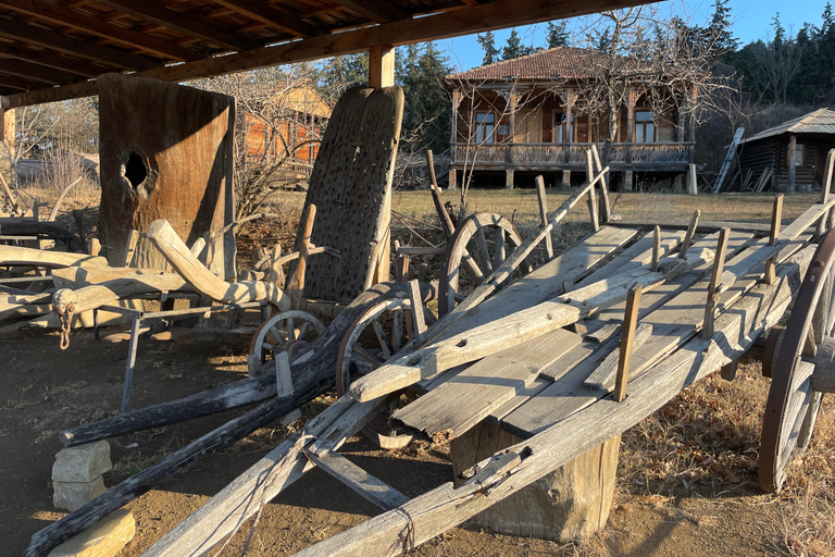 تبليسي: 12 منطقة في جورجيا - جولة مع خدمة النقل ذهابًا وإيابًا