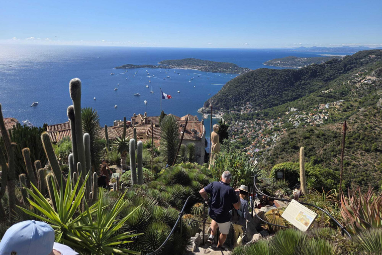 Nice, Monaco & Eze: Private Half-Day Tour
