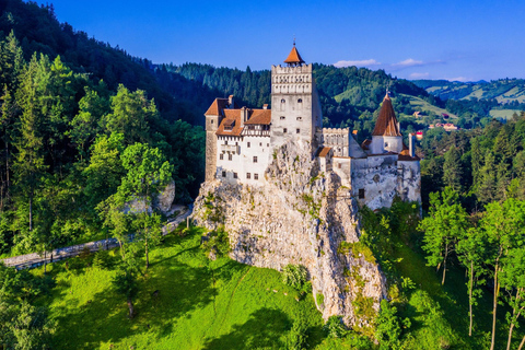 Visite à la journée en minibus de 3 châteaux : Peles, Mercredi et Dracula