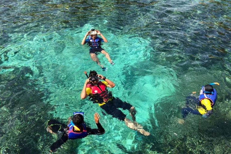Jeddah: Private Deep Sea Fishing & Bayada Island Reef Swim